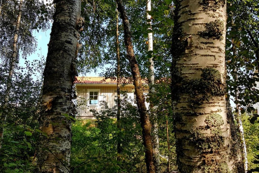 Nybyggd Stuga Intill Skogsbrynet - New Built Cottage Next To The Cowberry Forest Mora Exterior foto